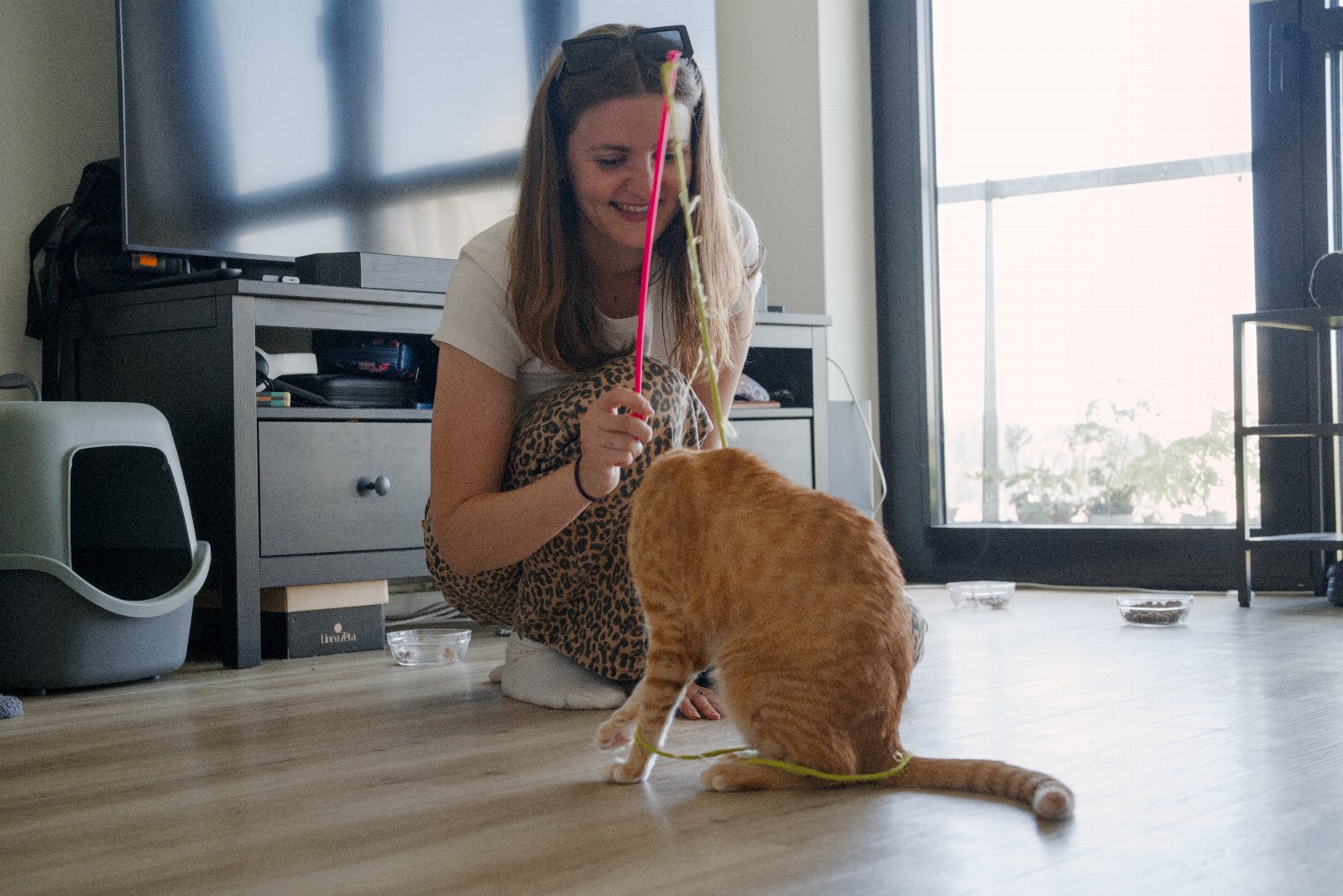 Paulina, pet sitter in Amsterdam, photo 1