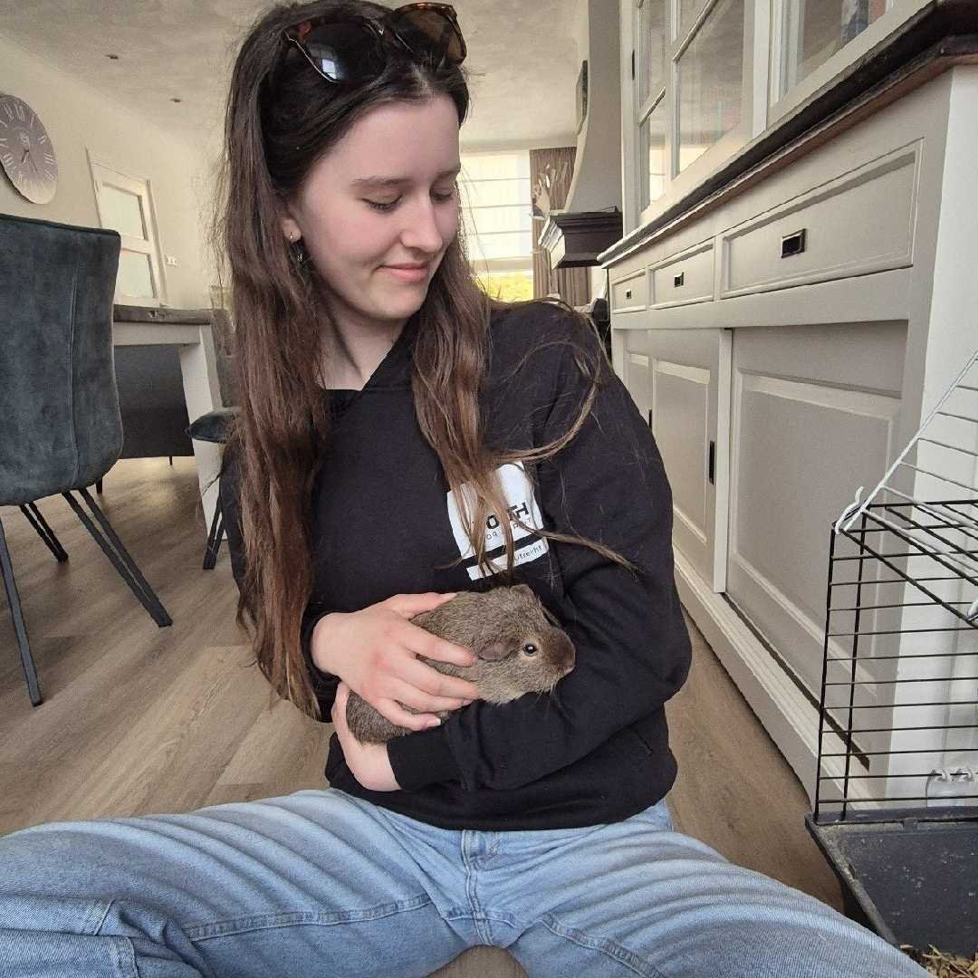 Sarah, pet sitter in heukelum, photo 3