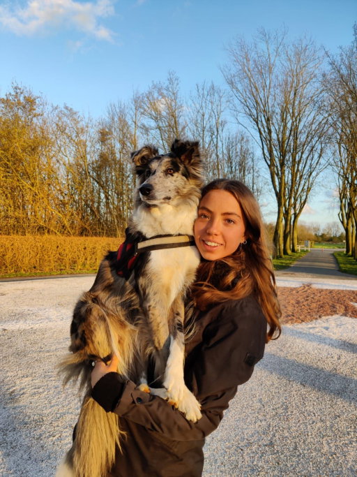 Merel, dierenoppas in Groningen, foto 3