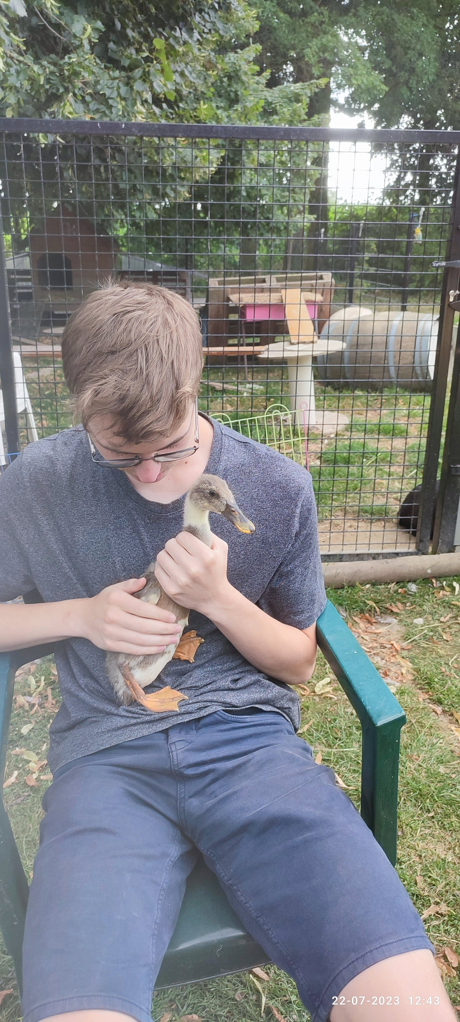 Sander, pet-sitter à Geraardsbergen, photo 1