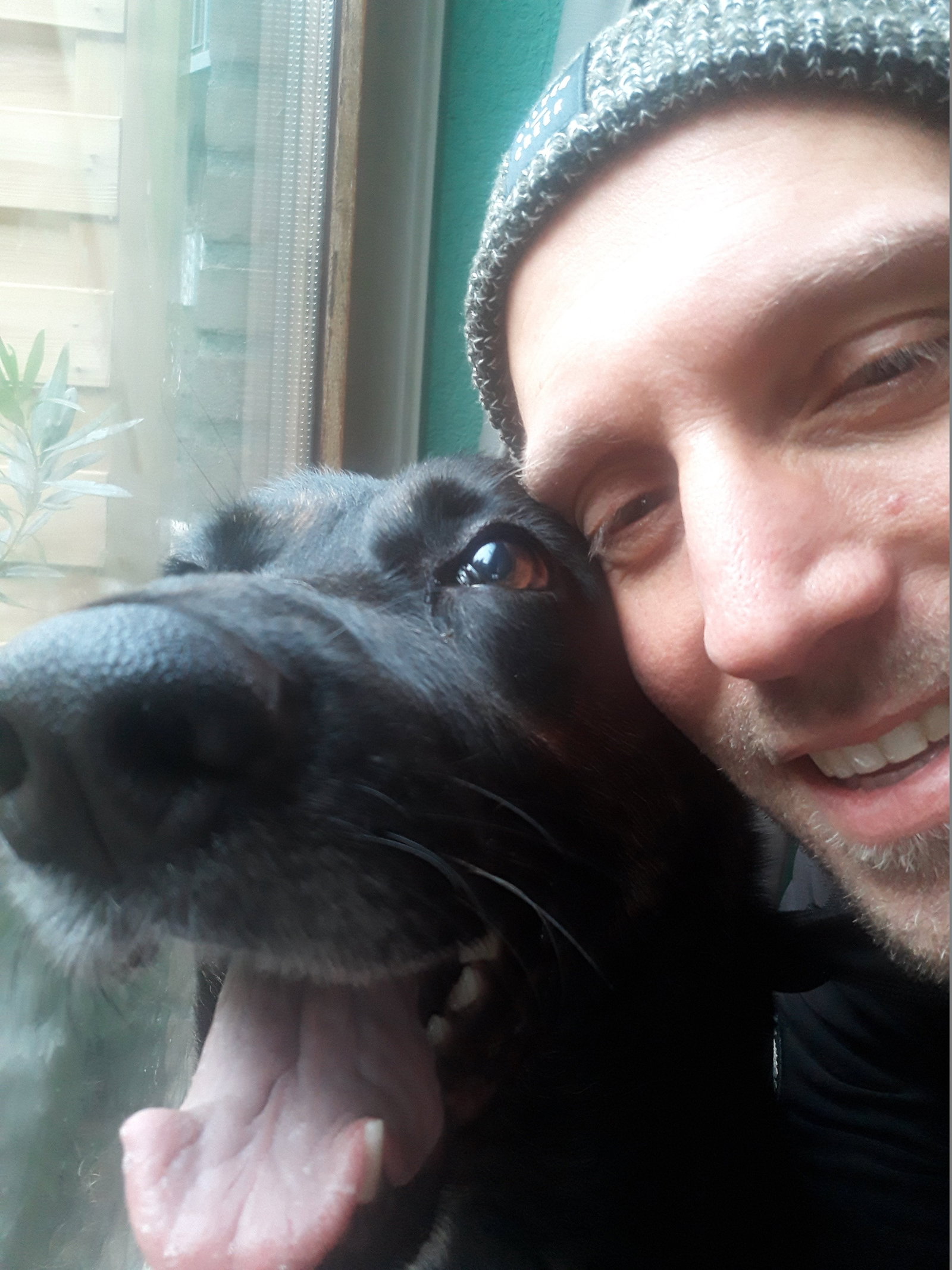 Ludo, pet sitter in Ulvenhout, photo 4