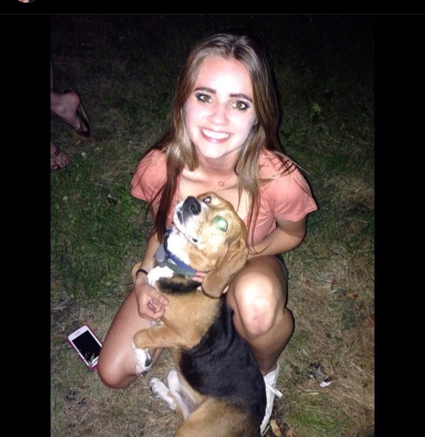 Keighan, pet sitter in Rotterdam, photo 3
