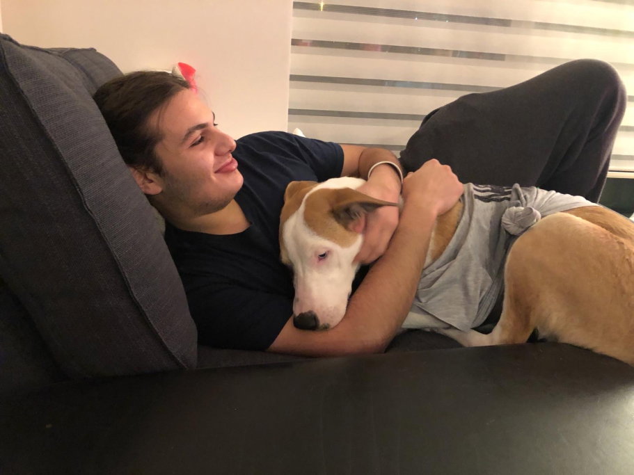 Cem, pet sitter in Amsterdam, photo 5