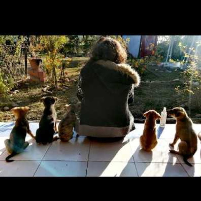 ragini, pet sitter in 's-Gravenhage, photo 5