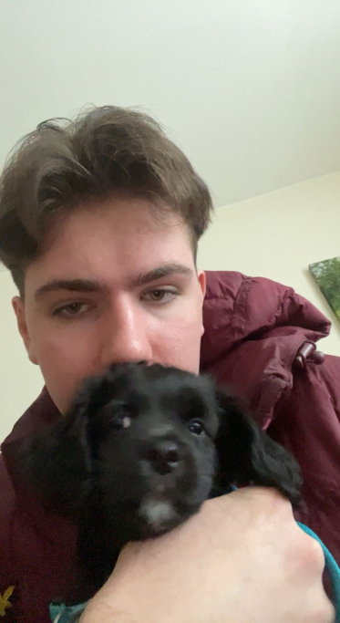 Levi, pet sitter in Amsterdam, photo 4