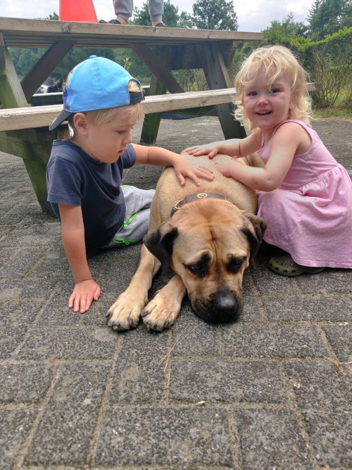 Mies, pet sitter in Merselo, photo 3