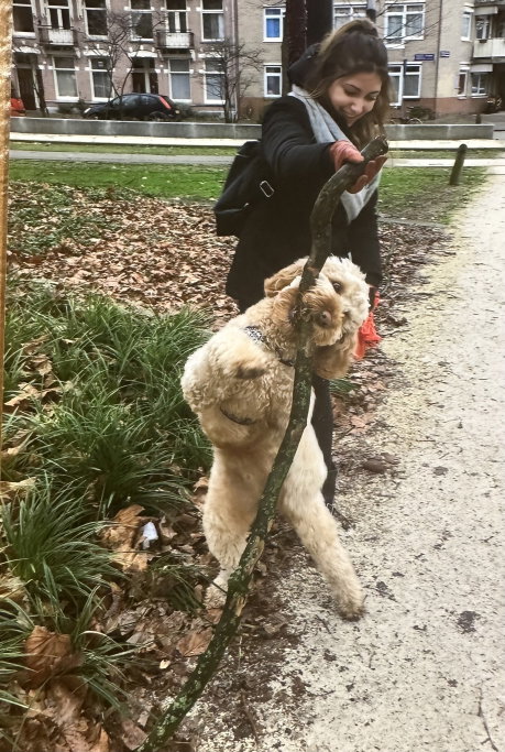 Jackie, Tiersitter in Berlin, Foto 3
