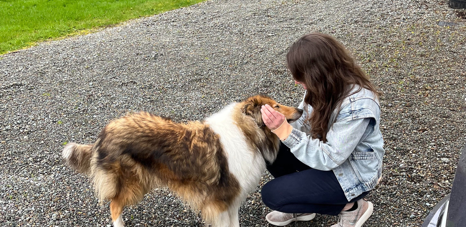 Jeanine, pet sitter in Laag-Soeren, photo 1