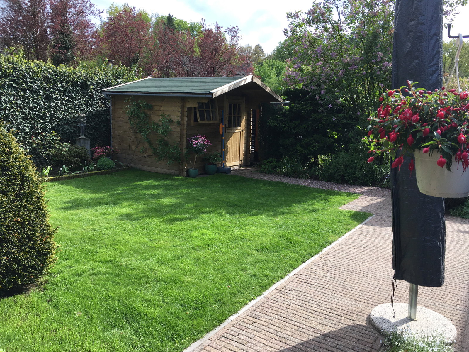Wietske, pet sitter in Ermelo, photo 2