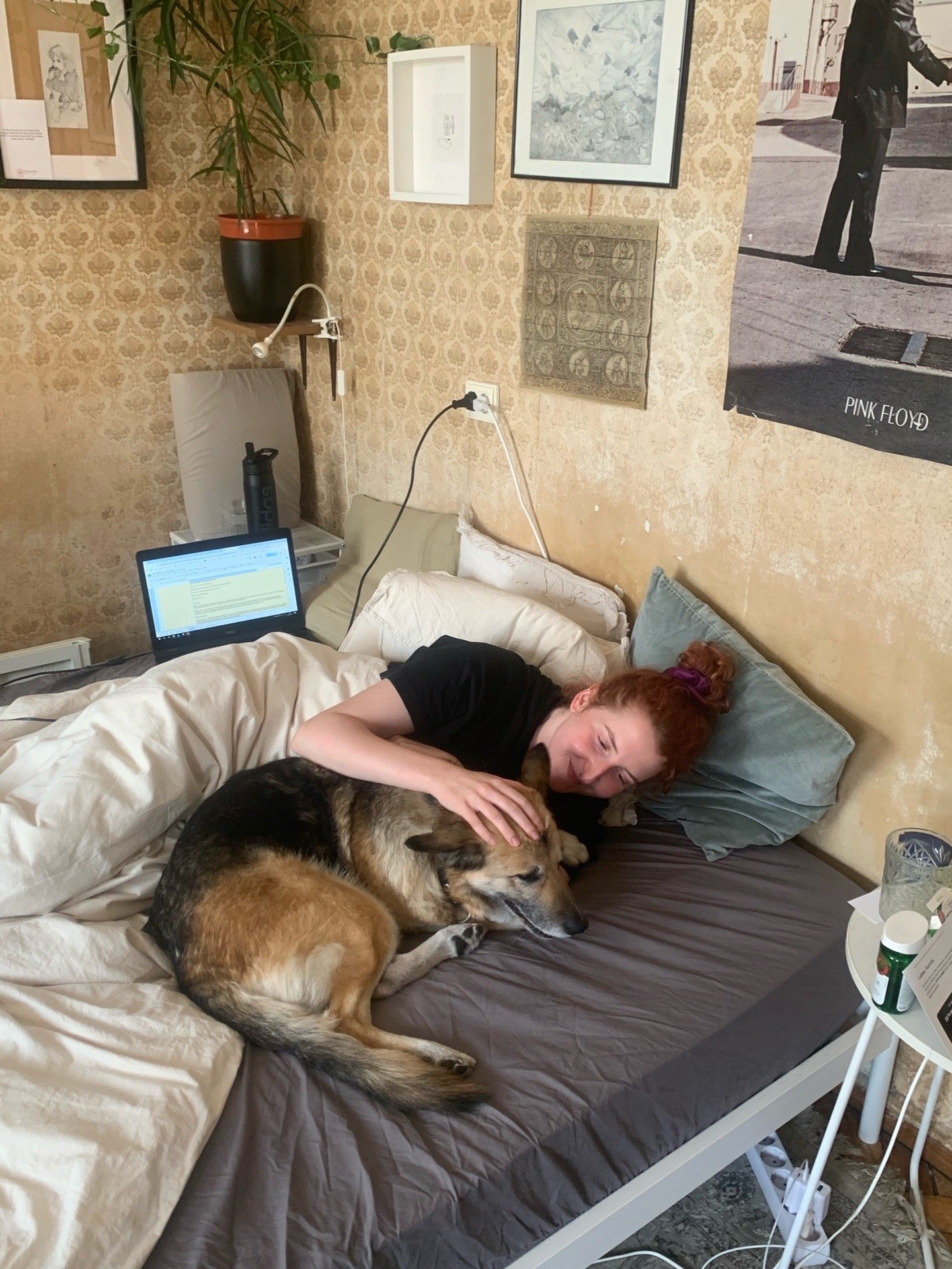 Kamilė, pet sitter in Amsterdam, photo 5