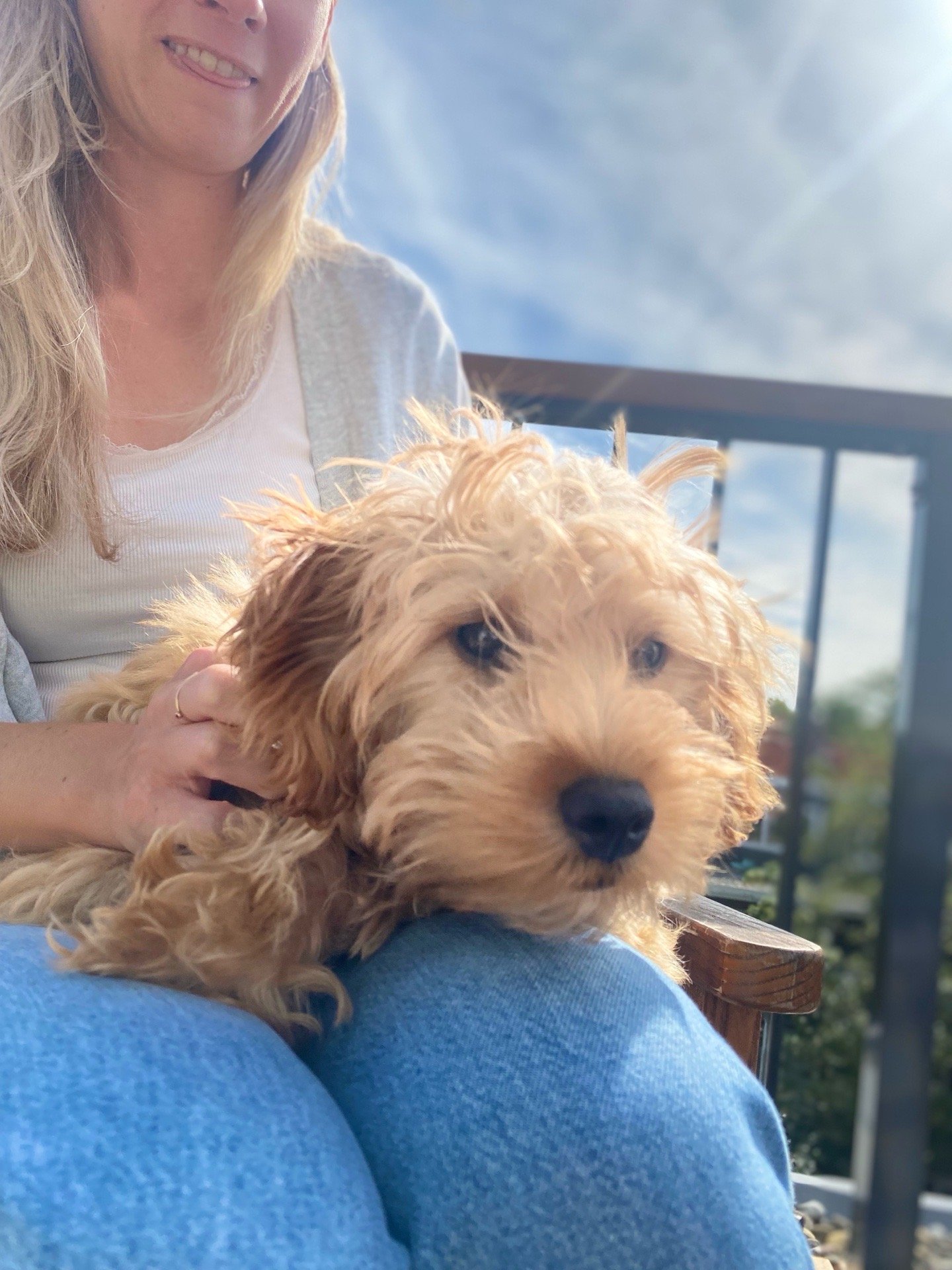 Chantalle, pet sitter in Amsterdam, photo 2