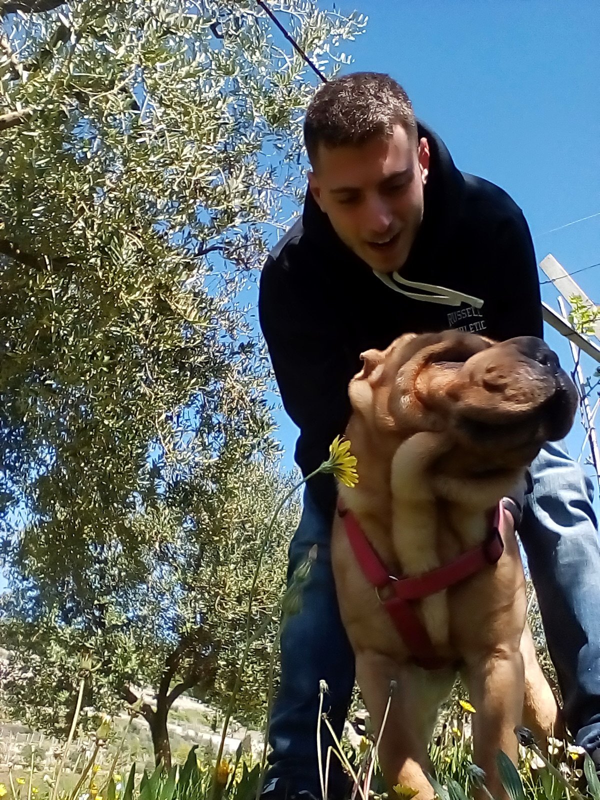 Fabio, pet sitter in 's-Hertogenbosch, photo 5