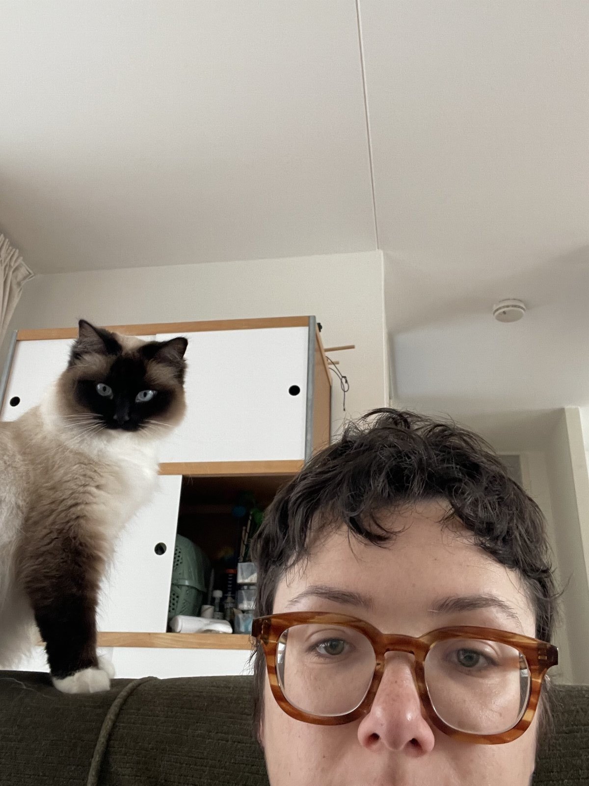 Clem, pet sitter in Amsterdam, photo 4