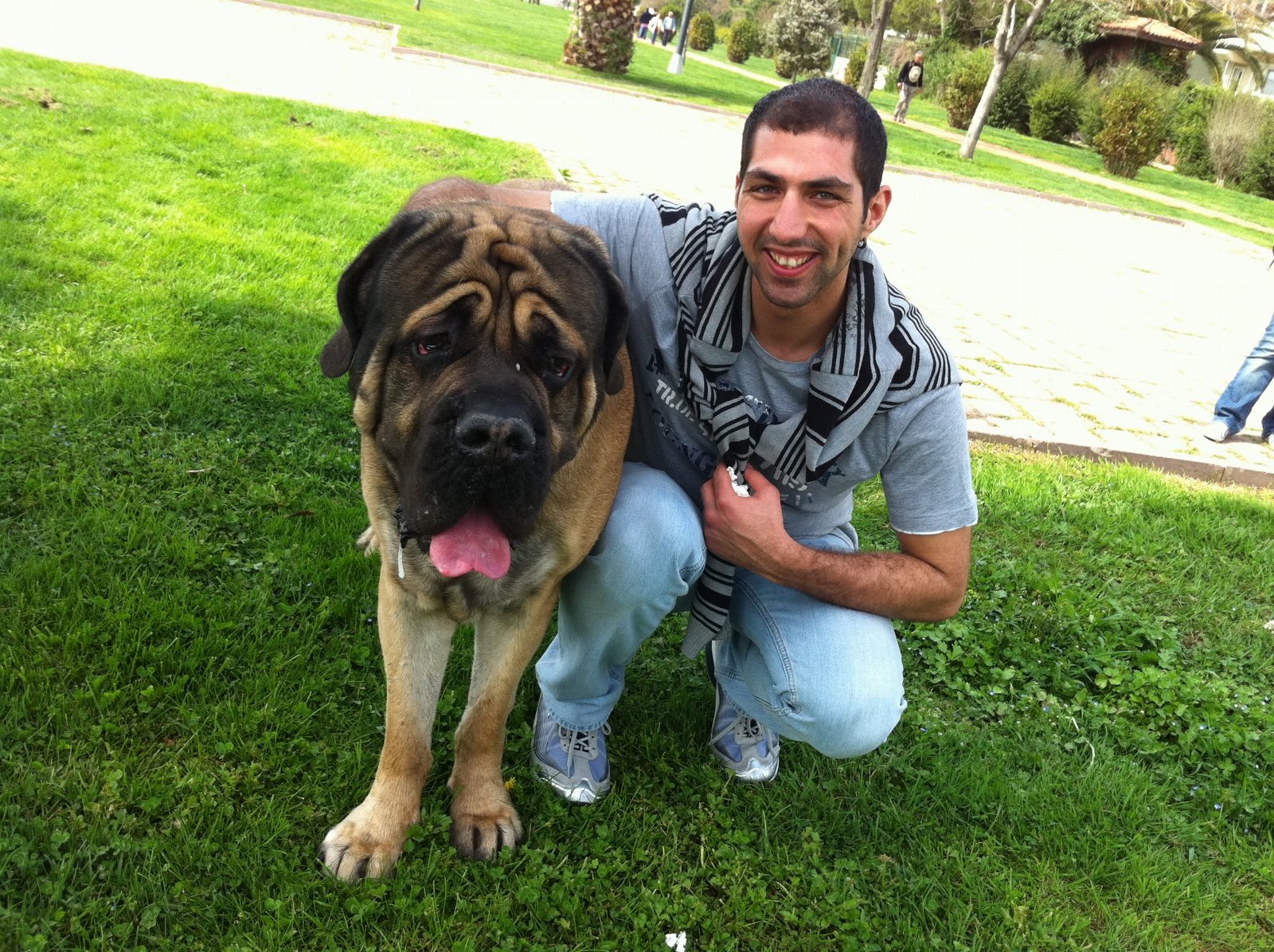 vili, pet sitter in Amstelveen, photo 5