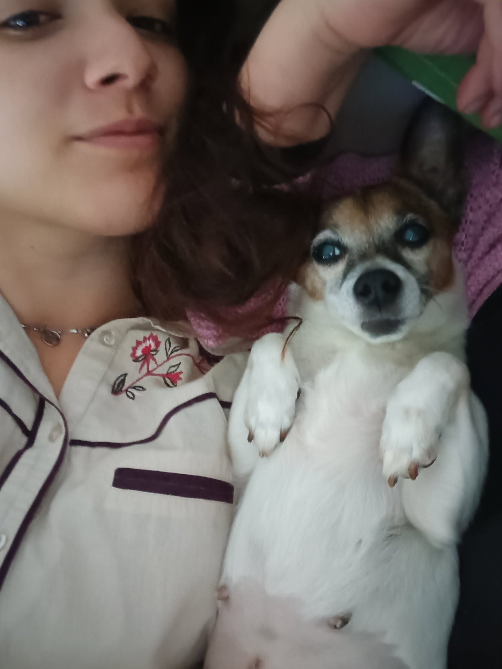 Gina, pet sitter in Best, photo 4