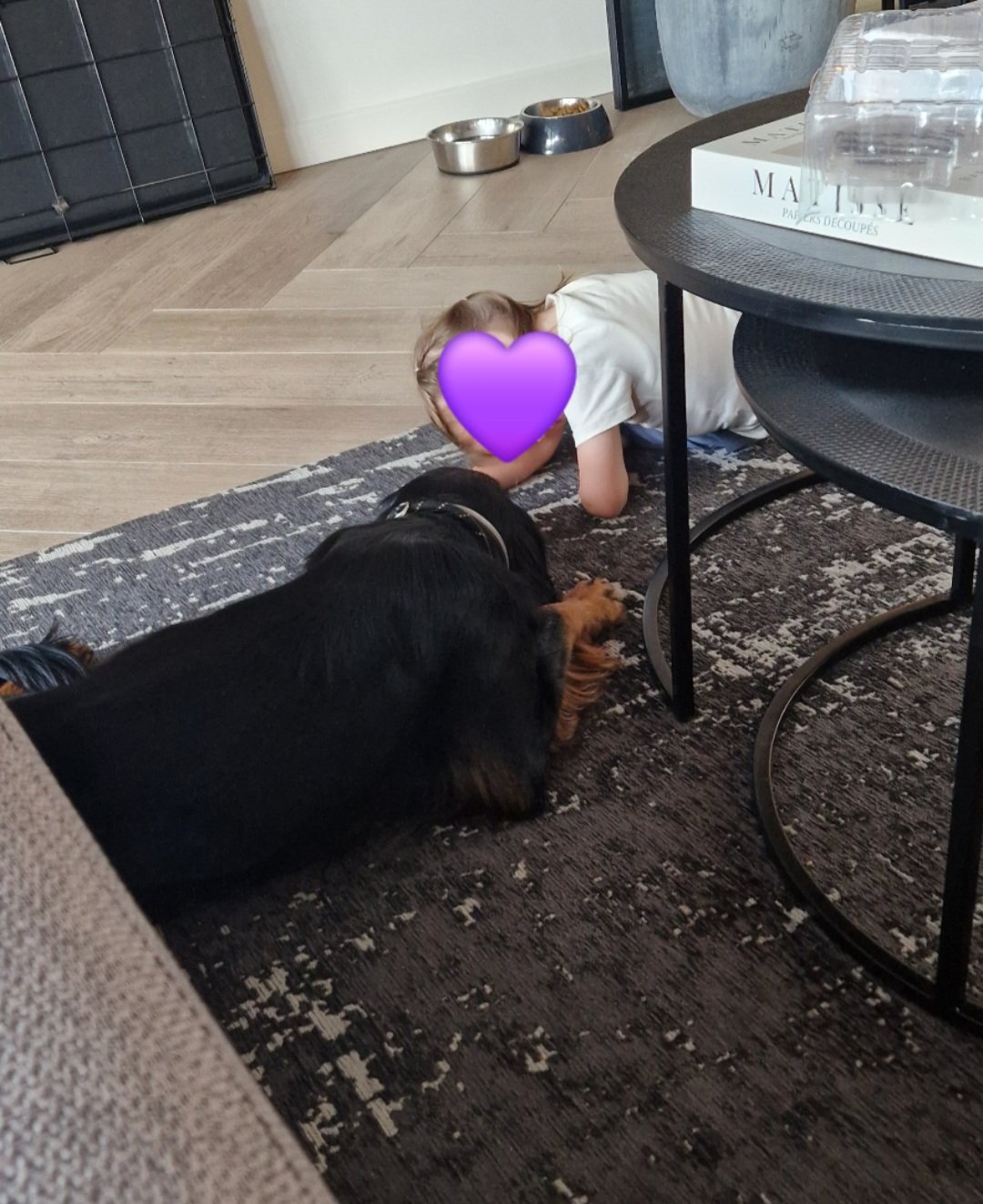 Amber, pet sitter in Geldrop, photo 2