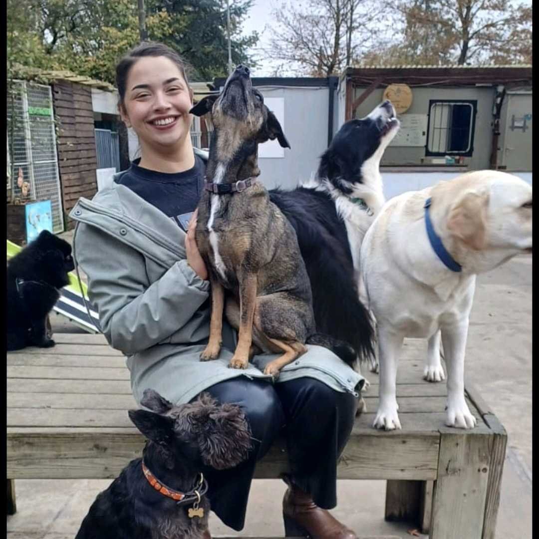 Hatice, pet sitter in Rotterdam, photo 2