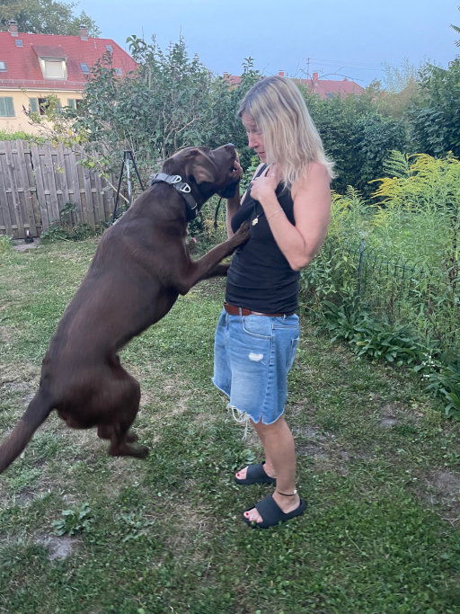 Mayke, pet sitter in Karlsruhe, photo 4