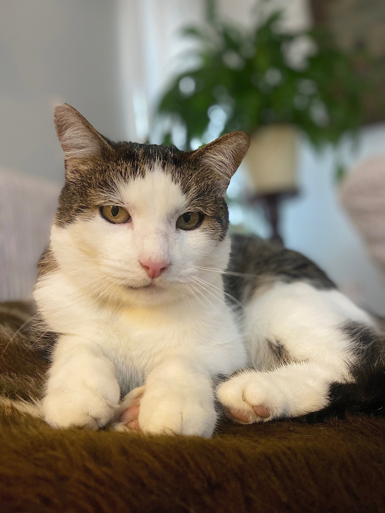 Nina, Tiersitter in Stuttgart, Foto 3
