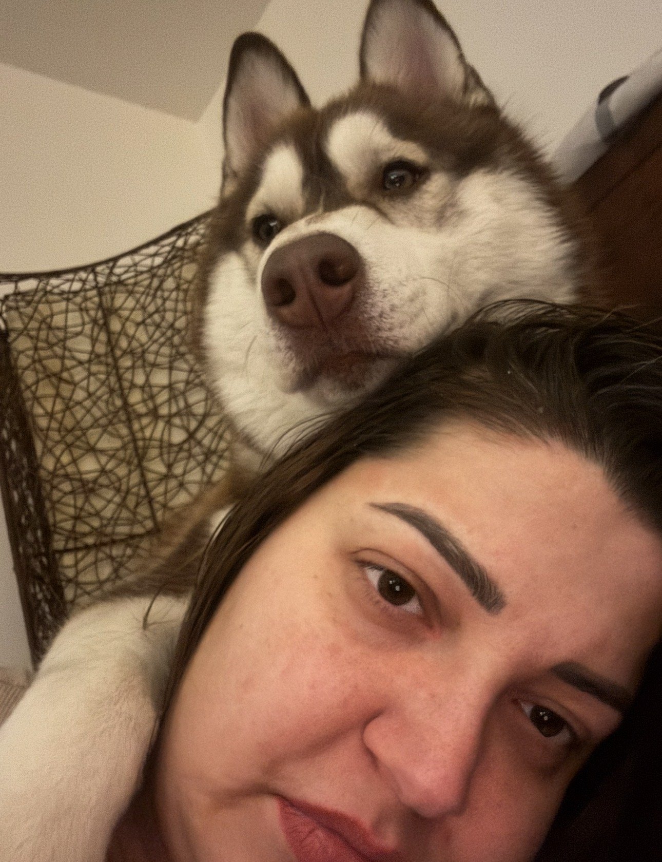 Ece, pet sitter in Rijswijk, photo 1