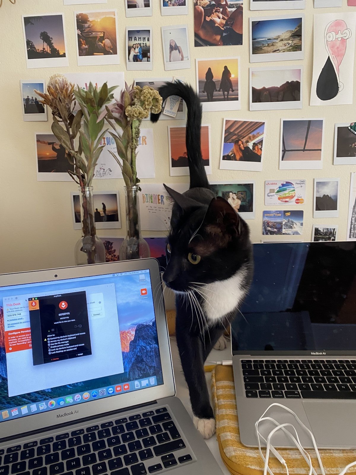 Janie, pet sitter in 's-Hertogenbosch, photo 5