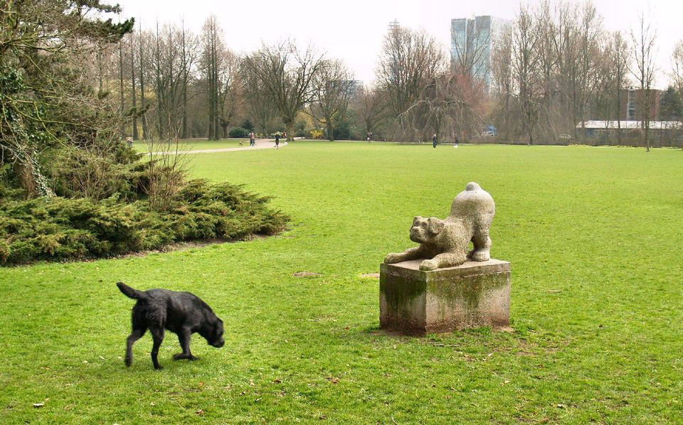 Jessica, pet sitter in Amsterdam, photo 2
