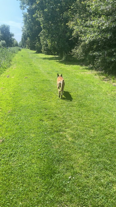 Christian & Esther, pet sitter in Hoofddorp, photo 4