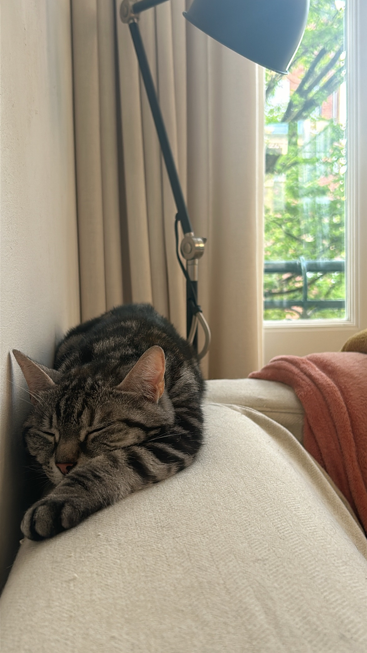 Myrthe, pet sitter in Amsterdam, photo 3