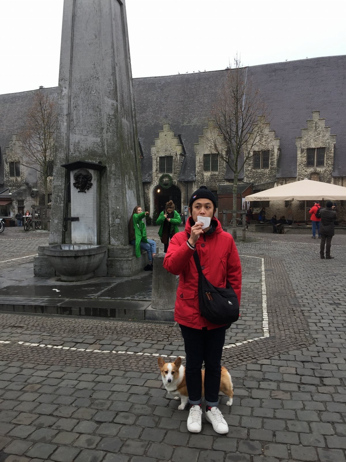Kevin, dierenoppas in Amsterdam, foto 3