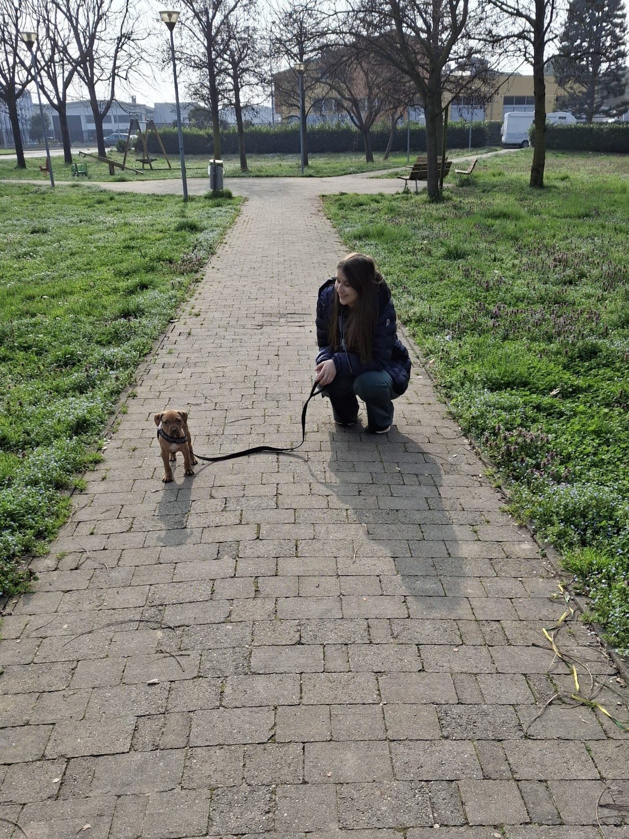 Noa, pet sitter in Hoeven, photo 4