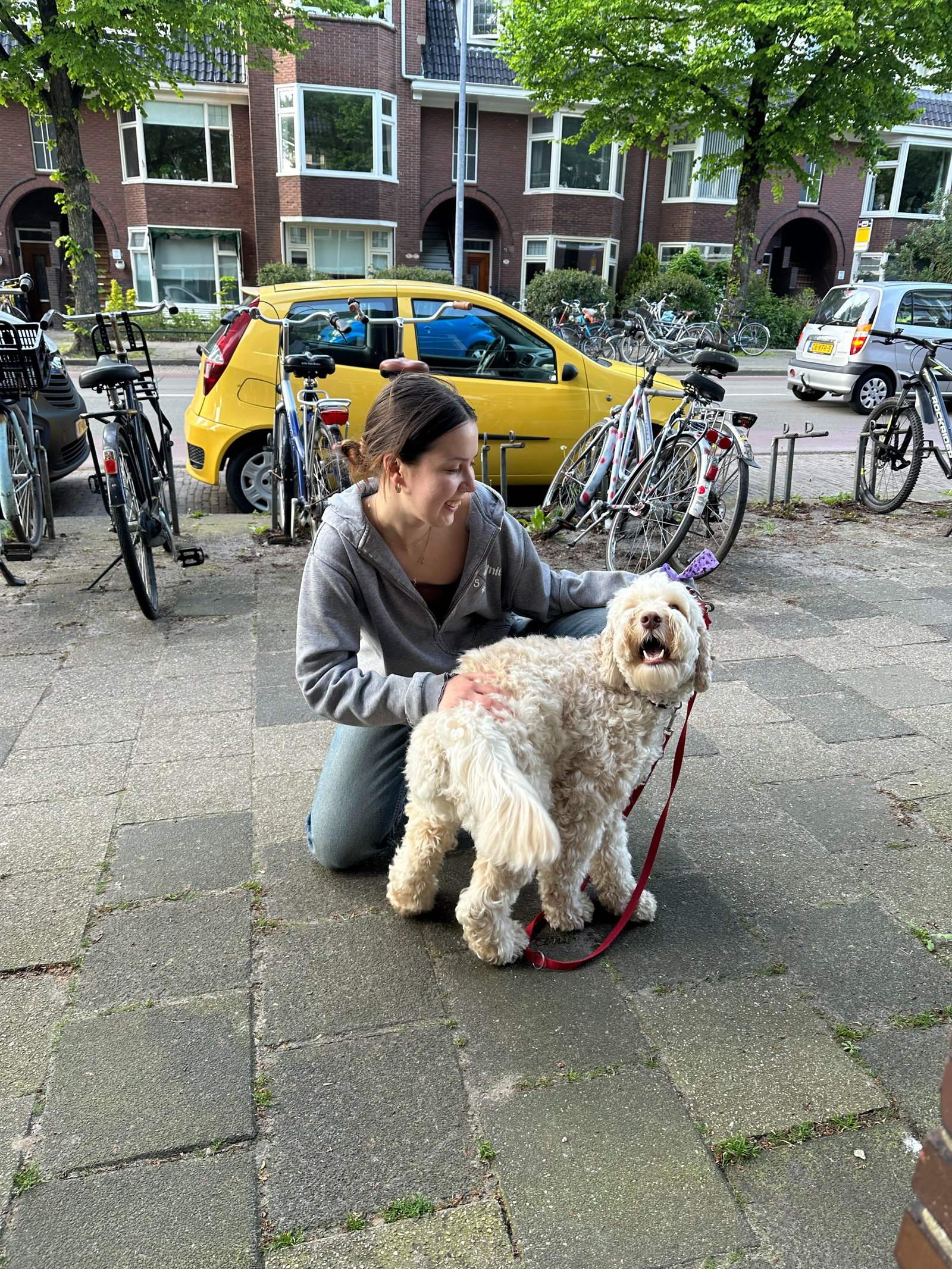 Elizabete, dierenoppas in Groningen, foto 1