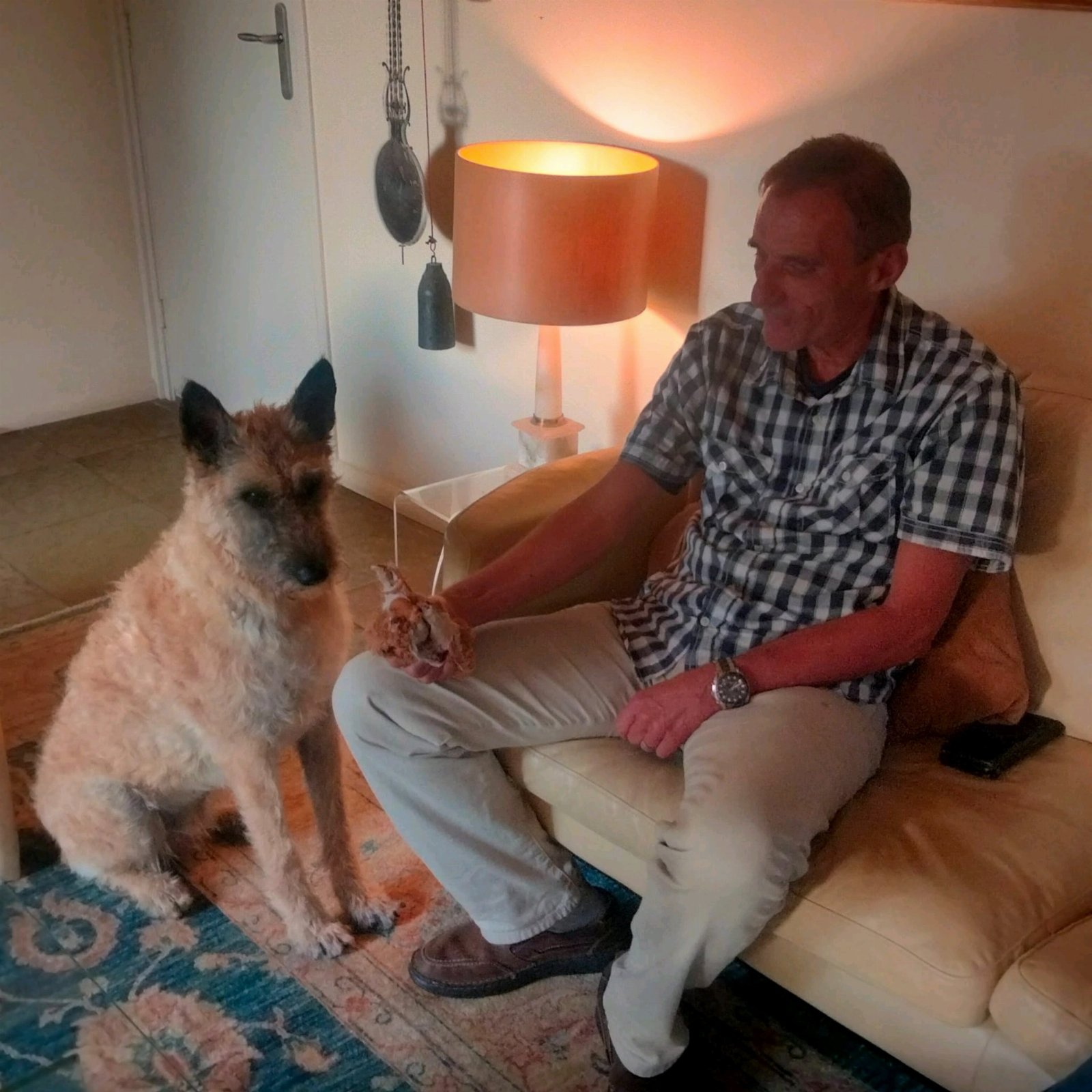 Peter, pet sitter in Amersfoort, photo 4