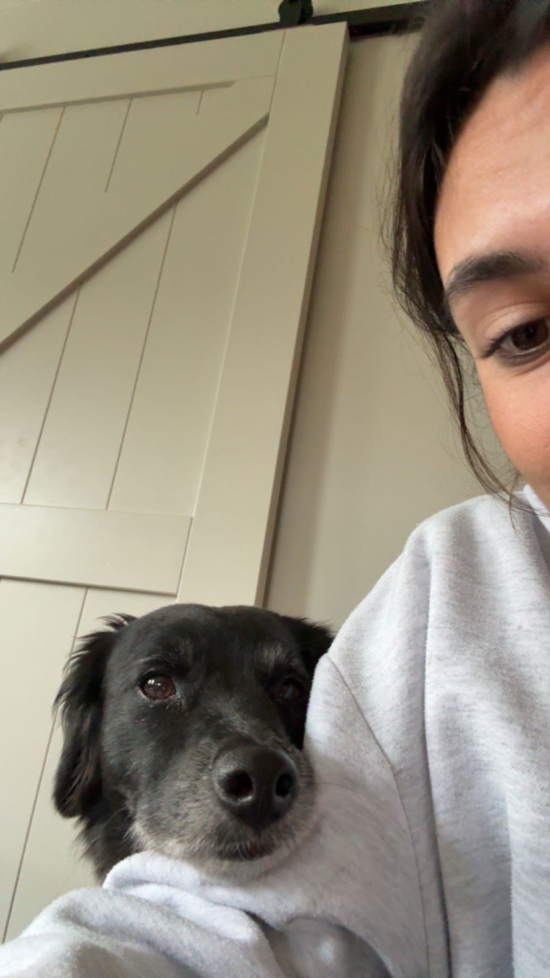 Anne, pet sitter in Amsterdam, photo 1