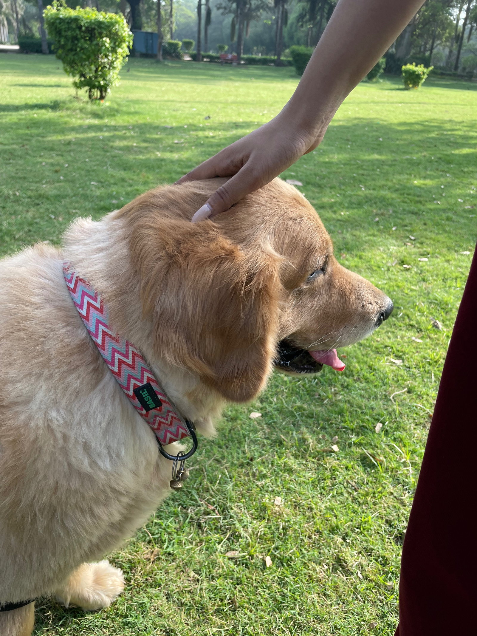 Ananyaa, pet sitter in Freiburg im Breisgau, photo 3