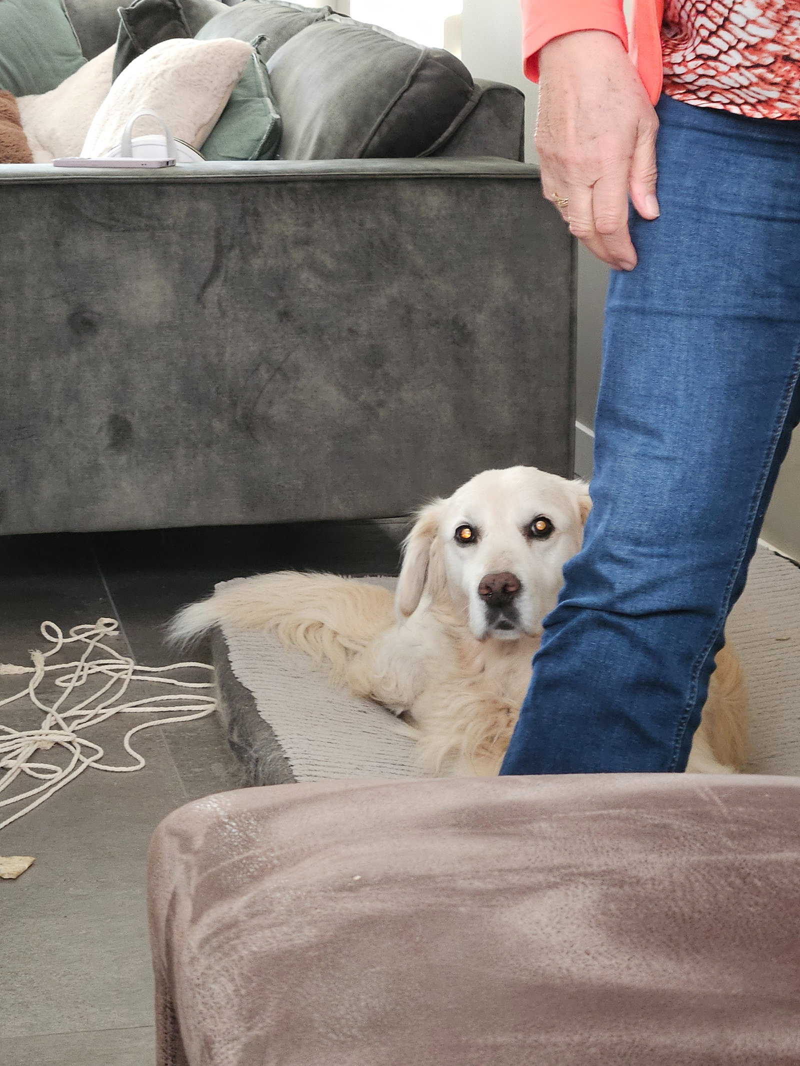 Miranda, pet sitter in Nistelrode, photo 1
