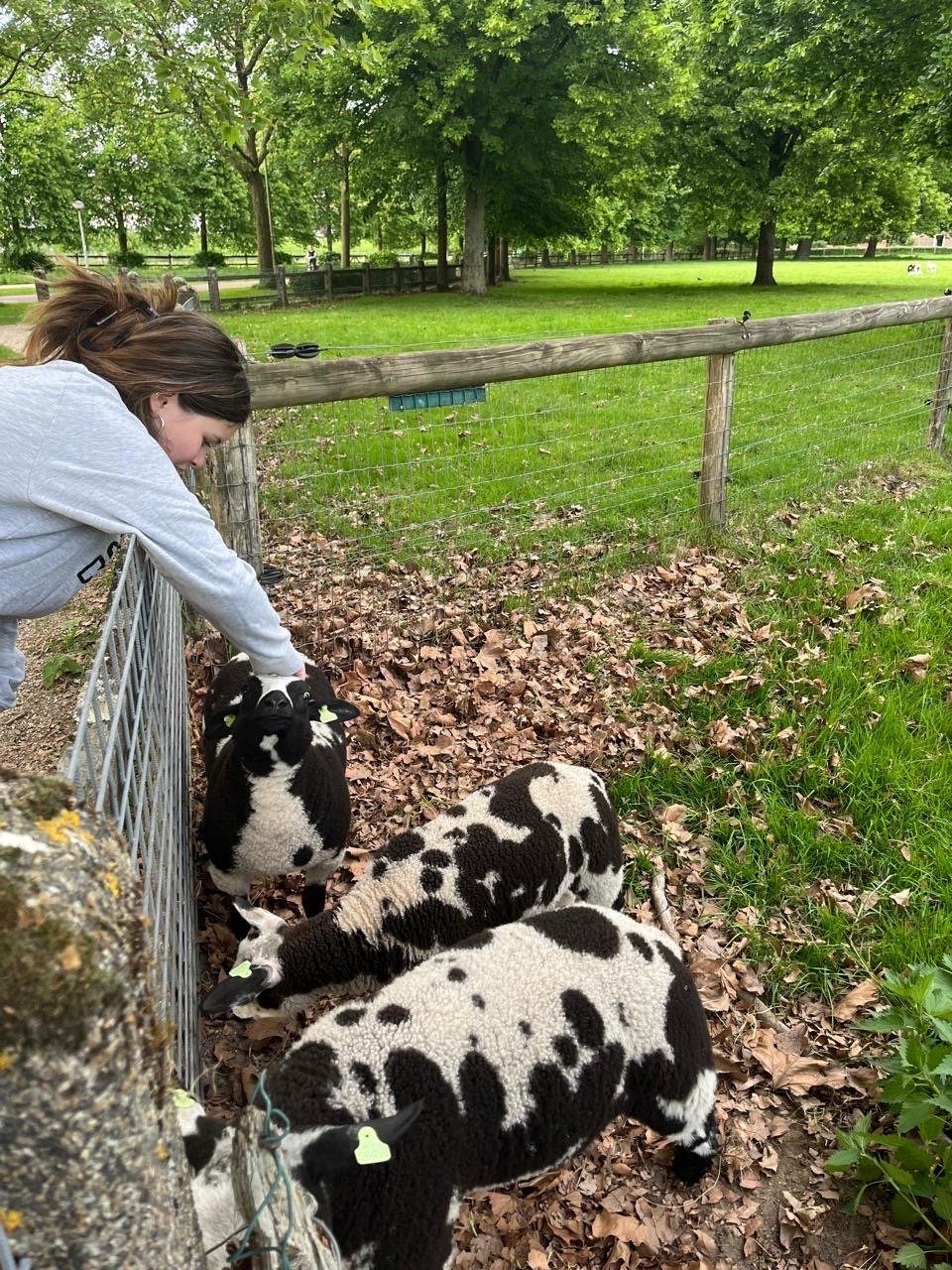 Dana, pet sitter in Arnhem, photo 1