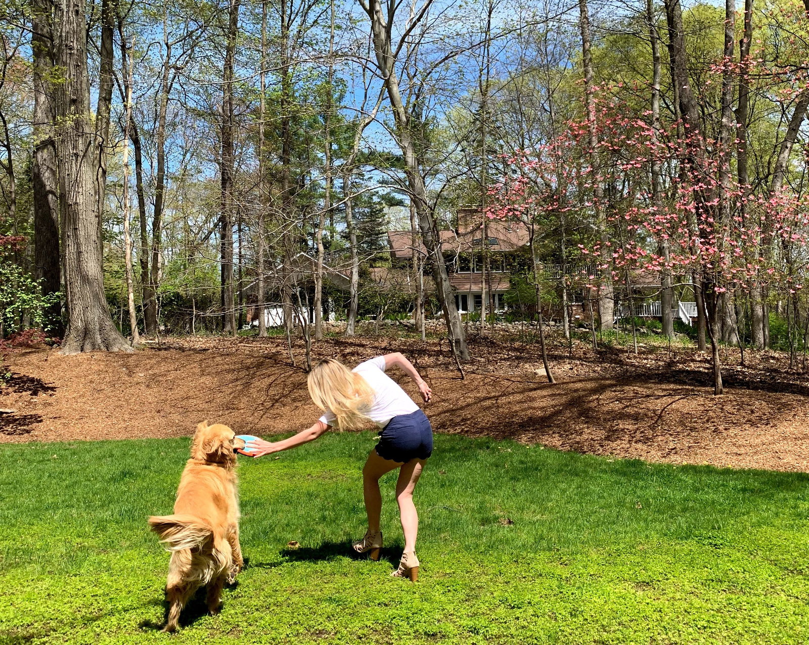 Kendolyn, pet sitter in Amsterdam, photo 4