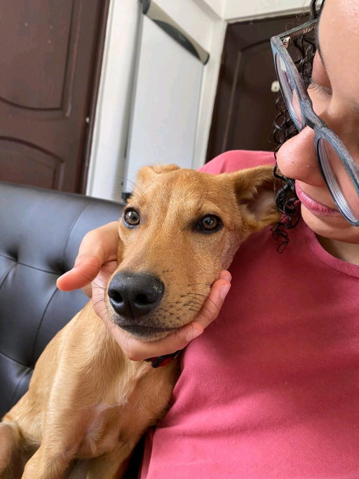 Mariel, pet sitter in Leiden, photo 1