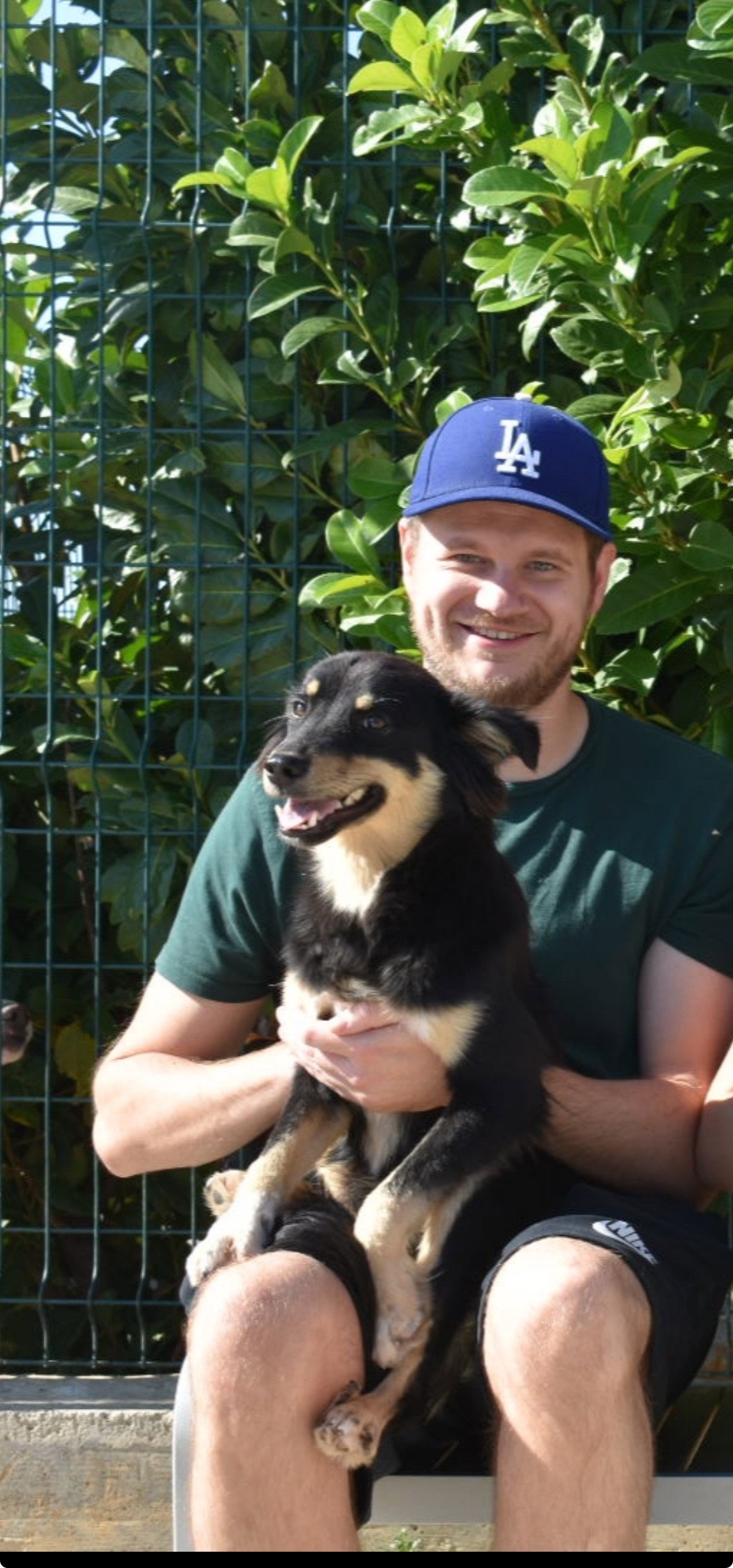 Dinko, pet sitter in Rotterdam, photo 1