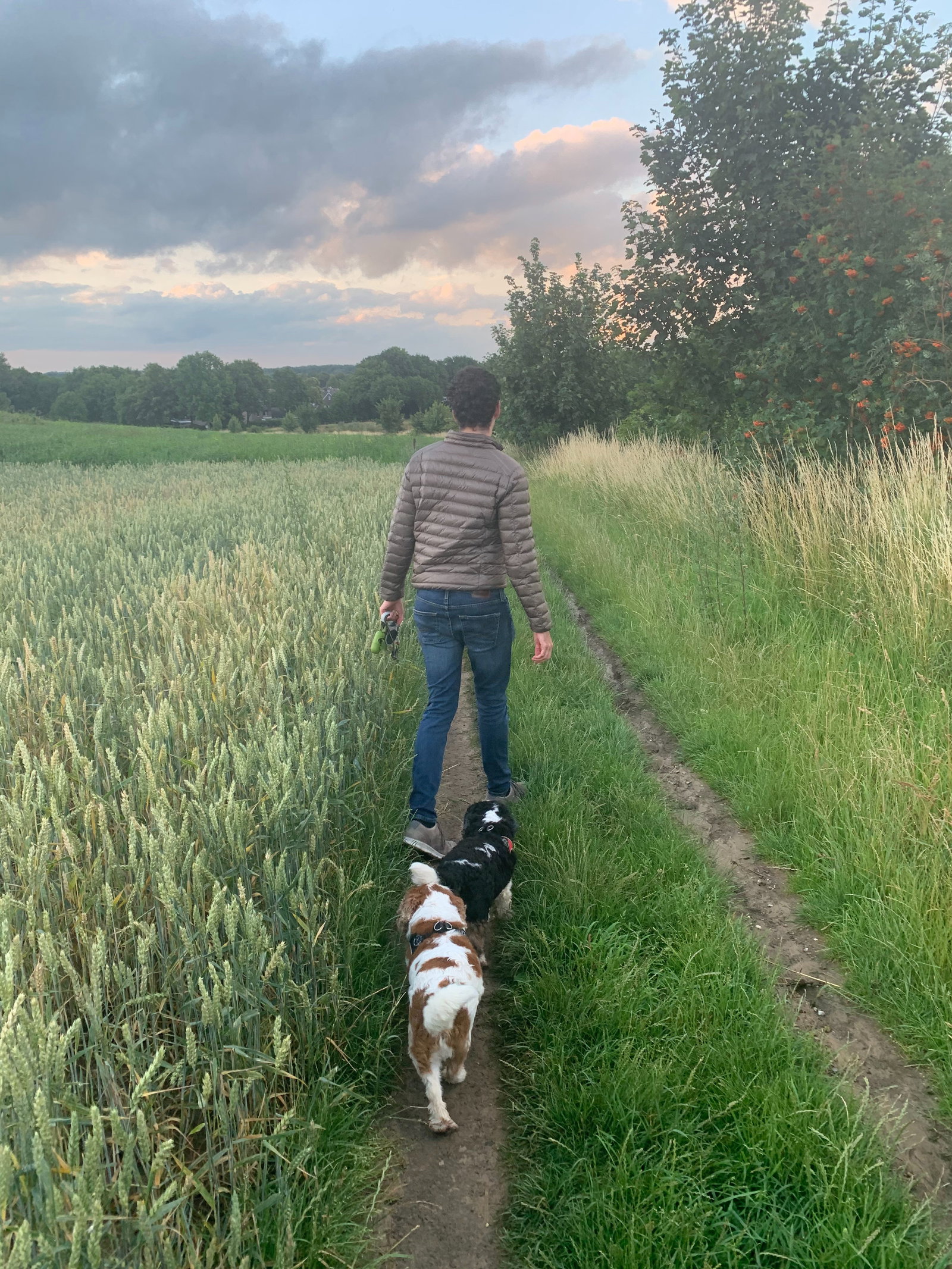Thijs, pet sitter in Eindhoven, photo 1