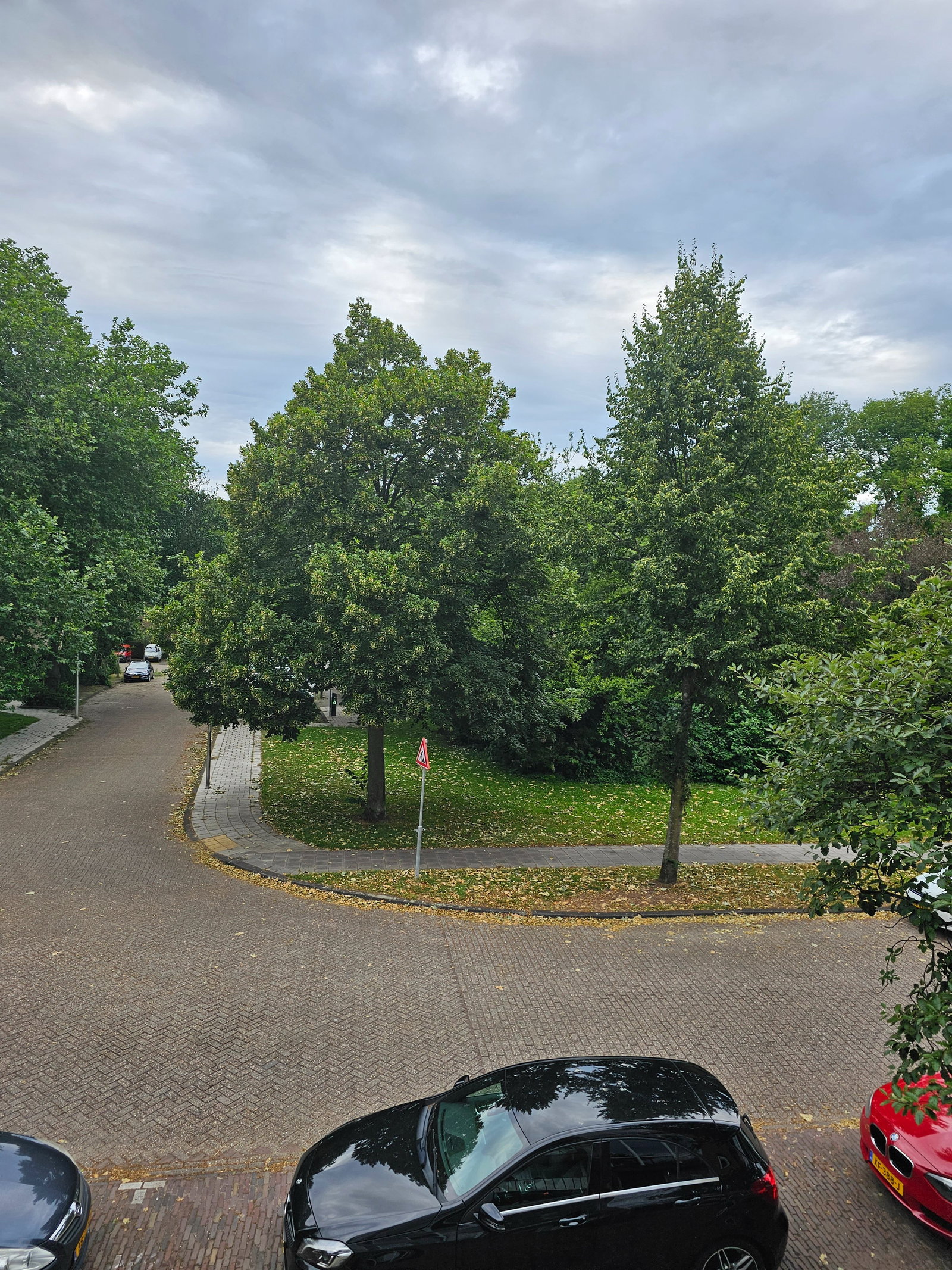 Anastasiya, pet sitter in Wassenaar, photo 1