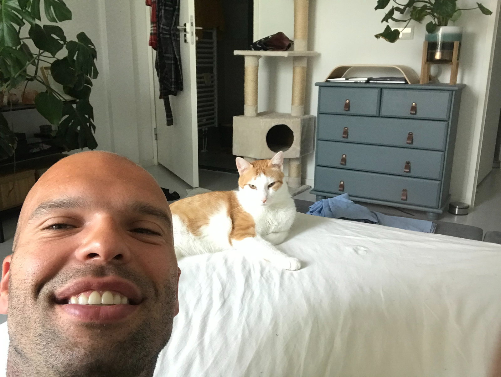 Sam, dierenoppas in Amsterdam, foto 5