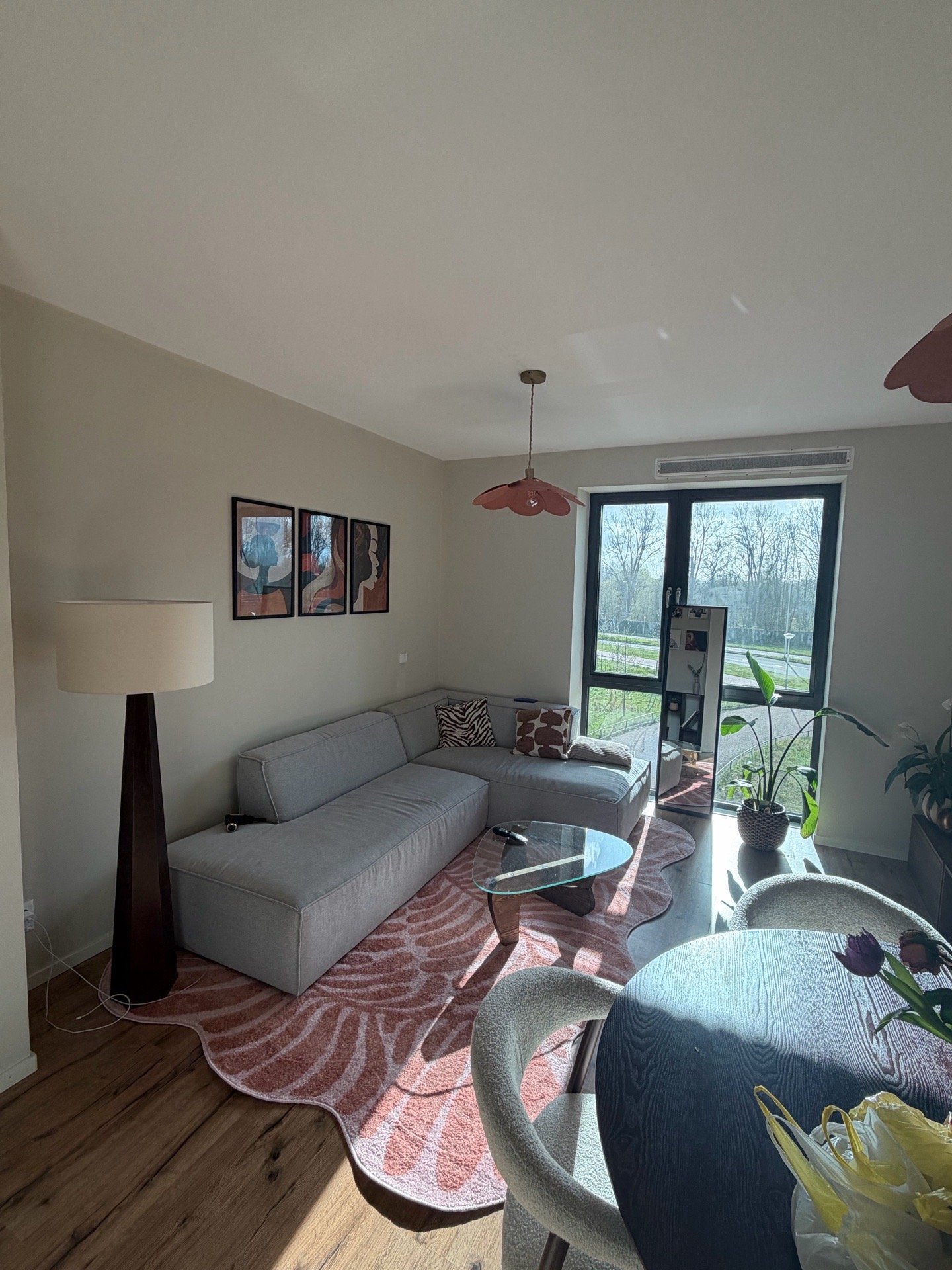Petra, dierenoppas in Amsterdam, foto 2