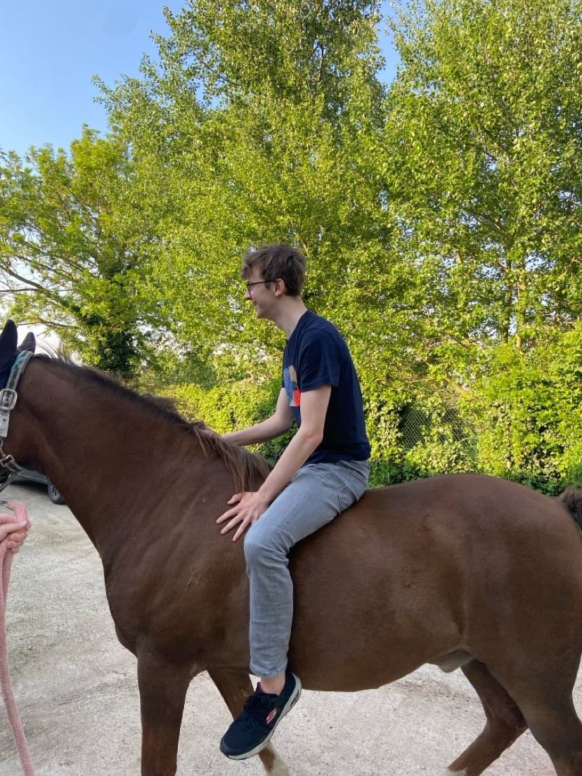 Sander, pet-sitter à Geraardsbergen, photo 4