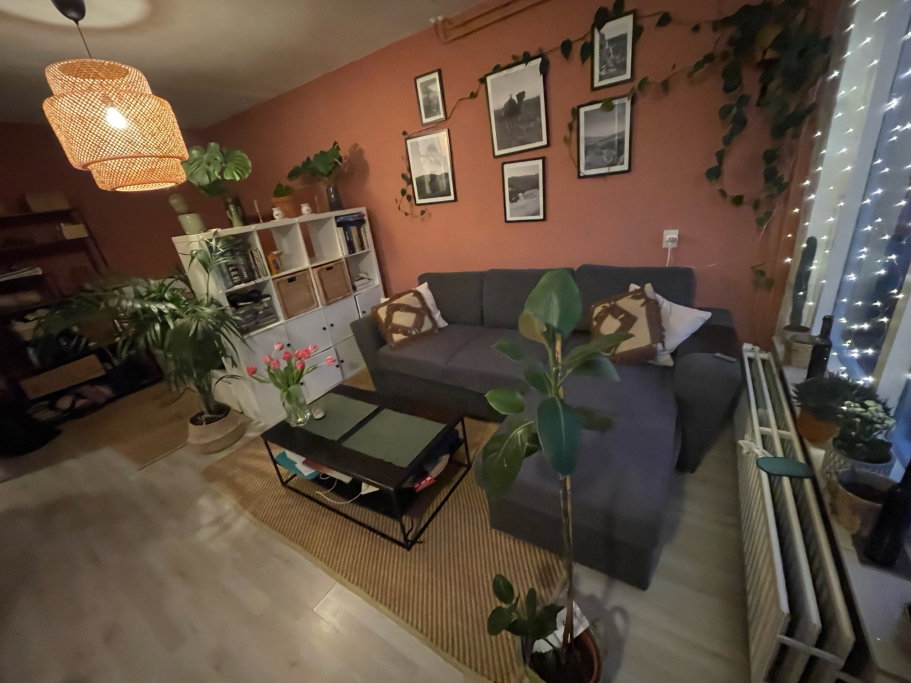 Sara, pet sitter in Delft, photo 2