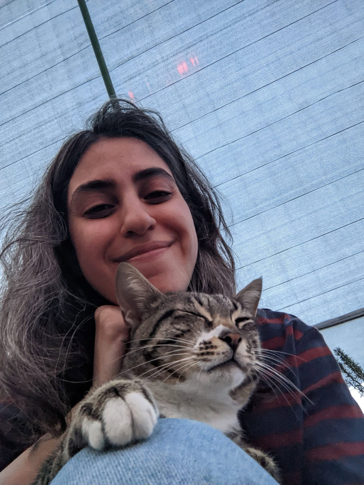 Parinaz, pet sitter in Amsterdam, photo 3