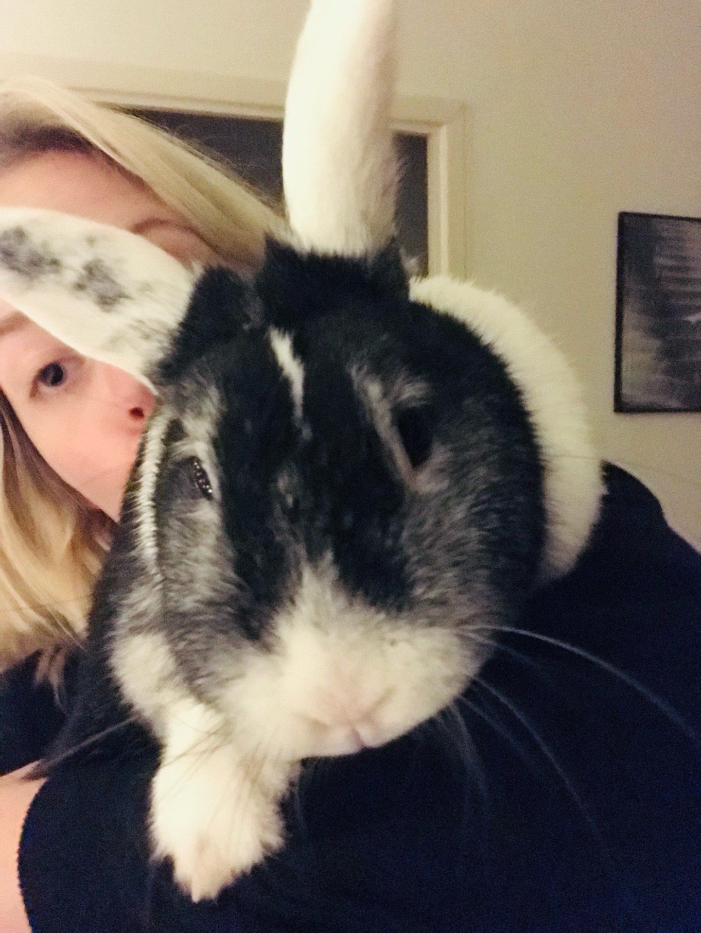 Jana, pet sitter in Breda, photo 1