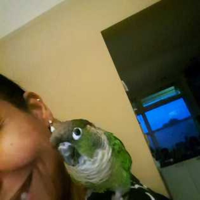 Sumira, pet sitter in 's-Gravenhage, photo 3