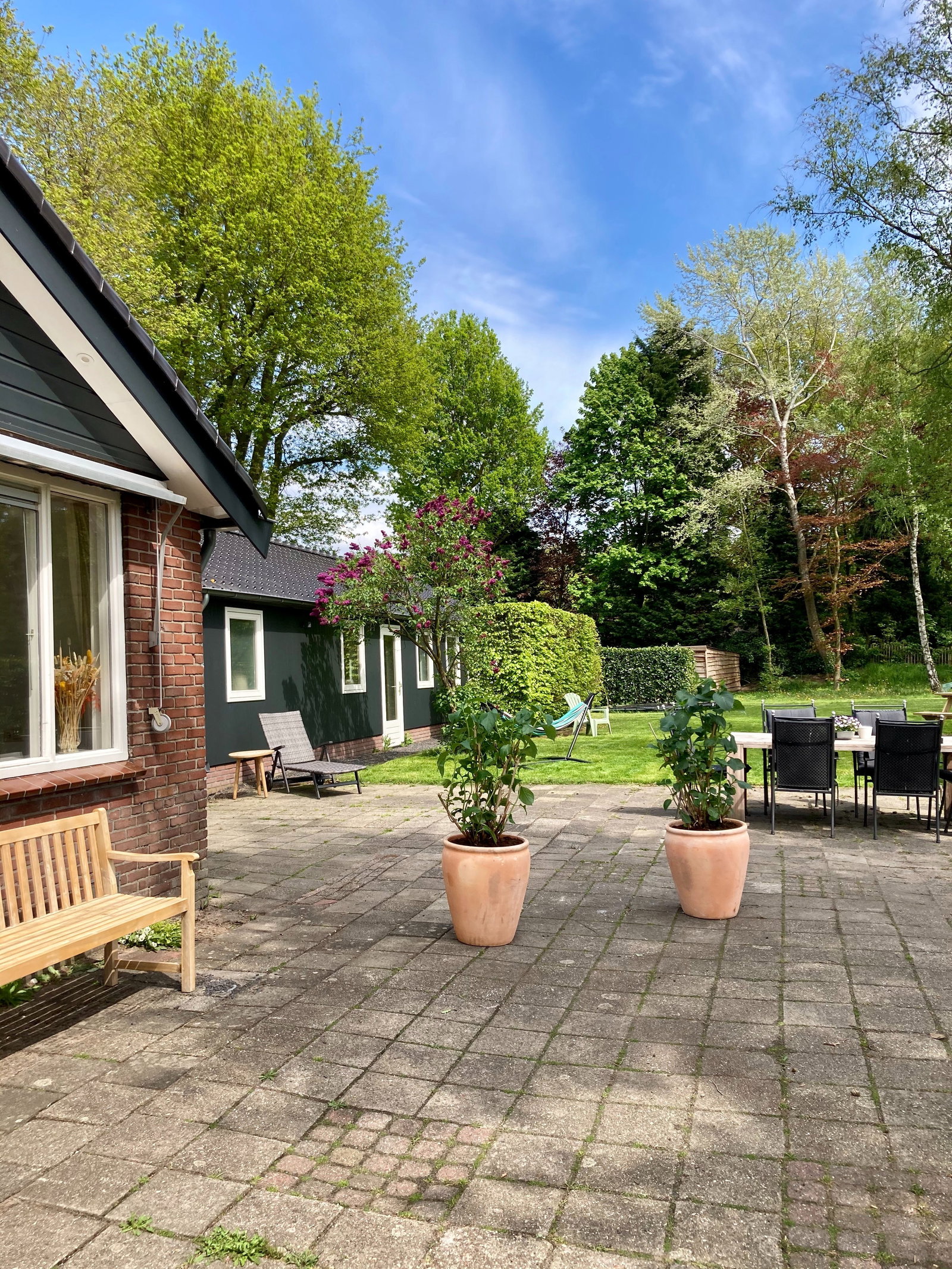 Petra, dierenoppas in Voorthuizen, foto 1