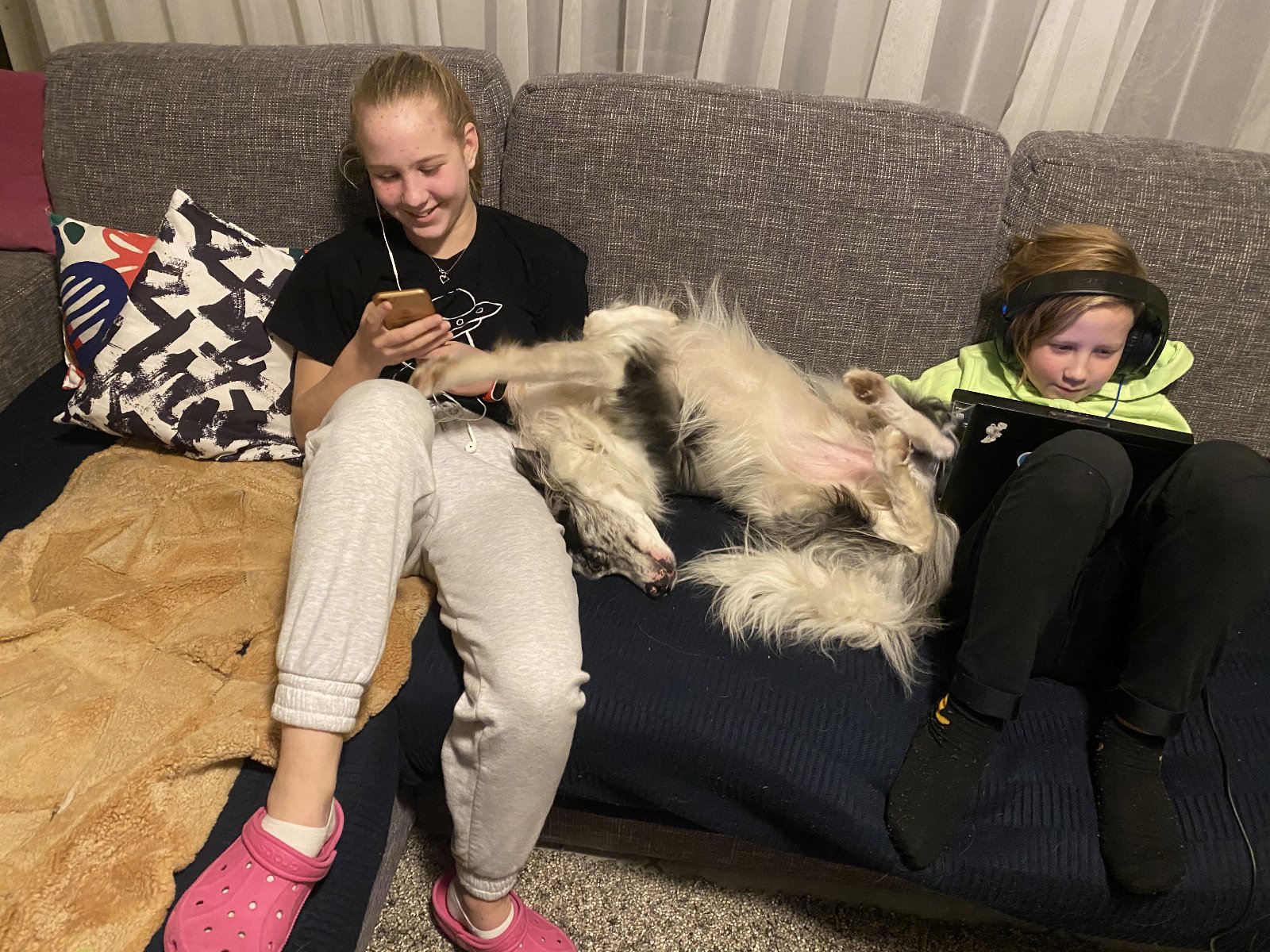 Anastasiia, dierenoppas in Almere, foto 4